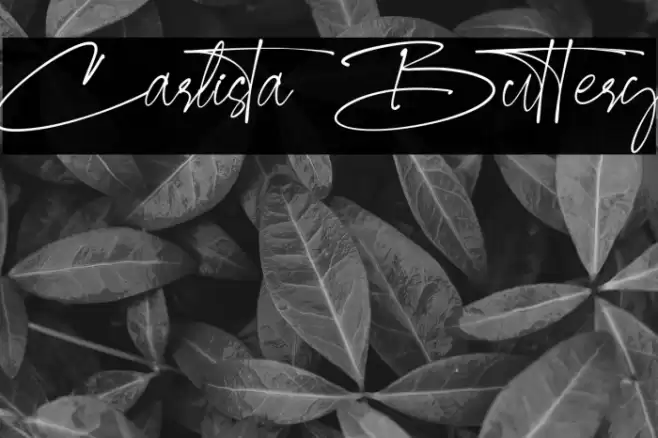 Carlista Buttery Font examples