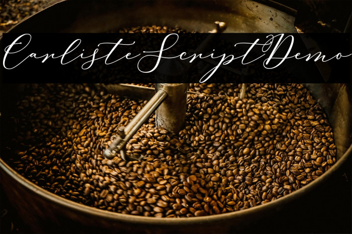 CarlisteScriptDemo Example 1