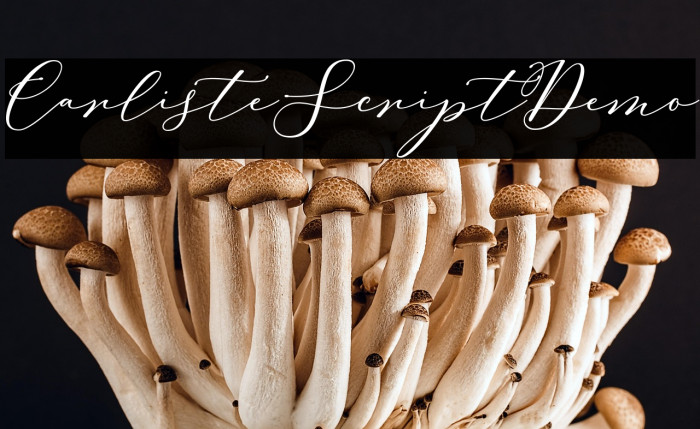 CarlisteScriptDemo Example 2