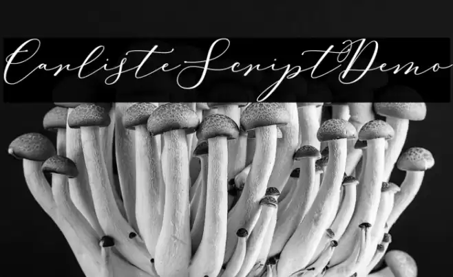 CarlisteScriptDemo Font examples