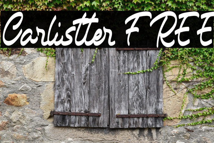 Carlistter FREE Example 2