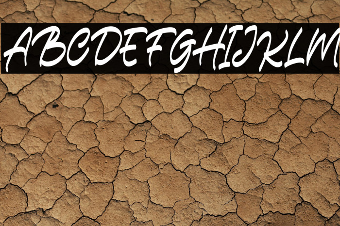 CarlistterFREE Example 2