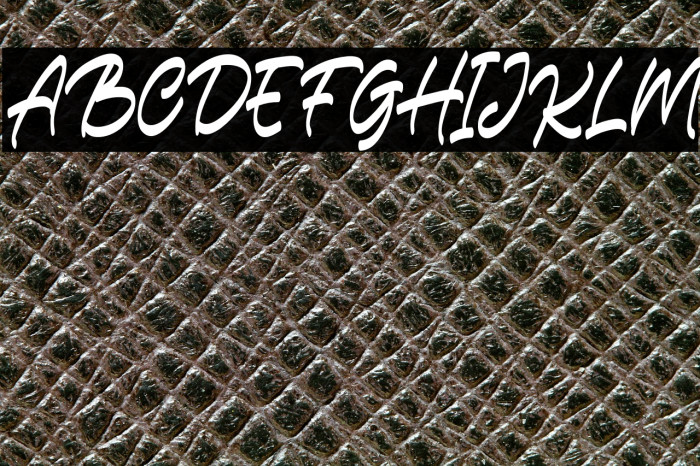 CarlistterFREE Example 3