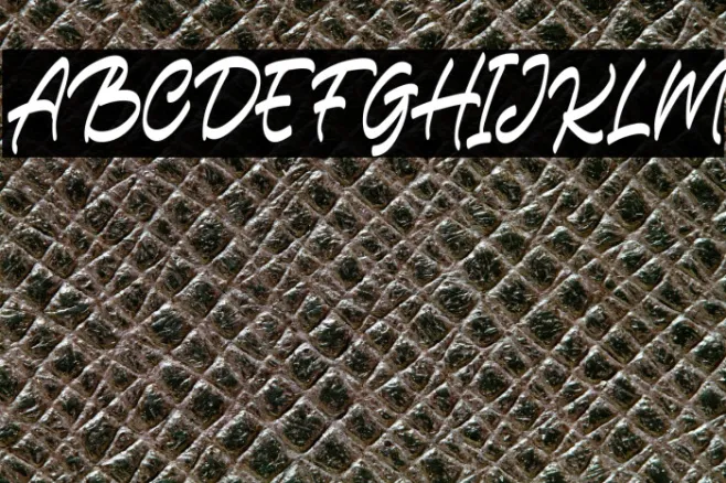 CarlistterFREE Example 3