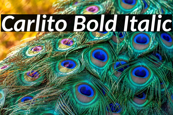 Carlito Bold Italic Example 1