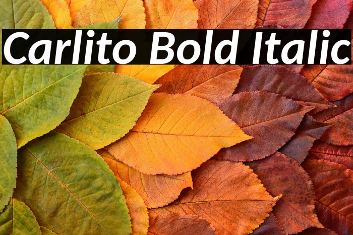 Carlito Bold Italic Example 3
