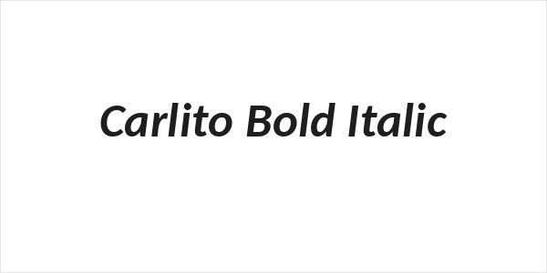 Carlito Bold Italic Logo