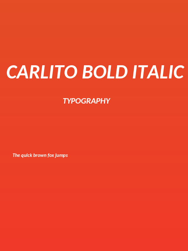 Carlito Bold Italic Poster