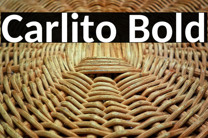 Carlito Bold Example 1