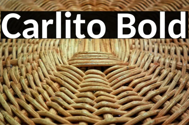 Carlito Bold Example 1