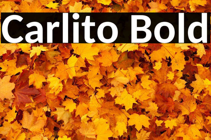 Carlito Bold Example 2