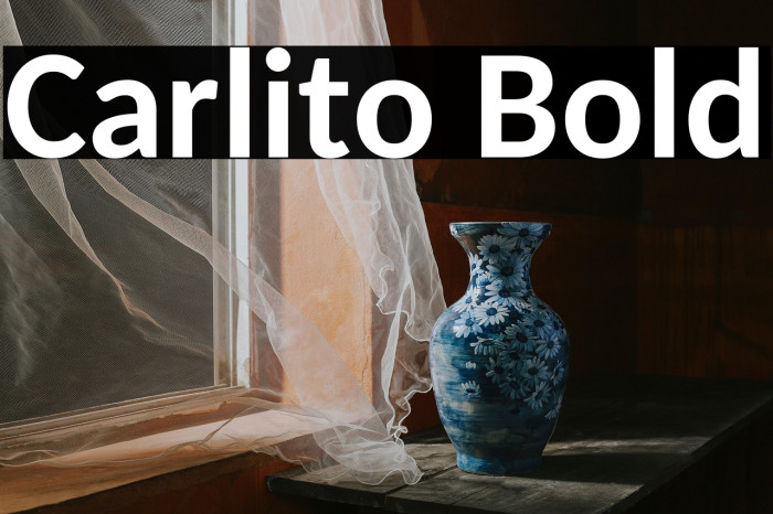 Carlito Bold Example 3