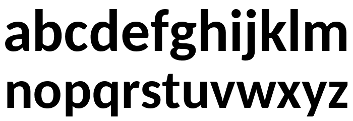 Carlito Bold Font LOWERCASE