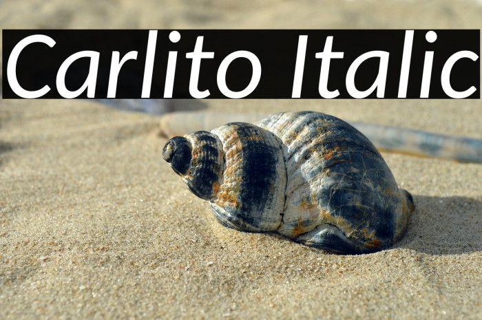 Carlito Italic Example 1