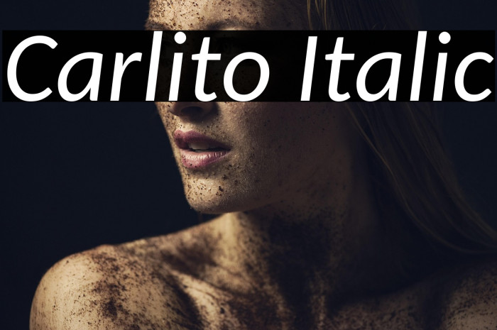 Carlito Italic Example 2