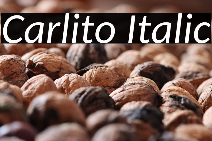 Carlito Italic Example 3