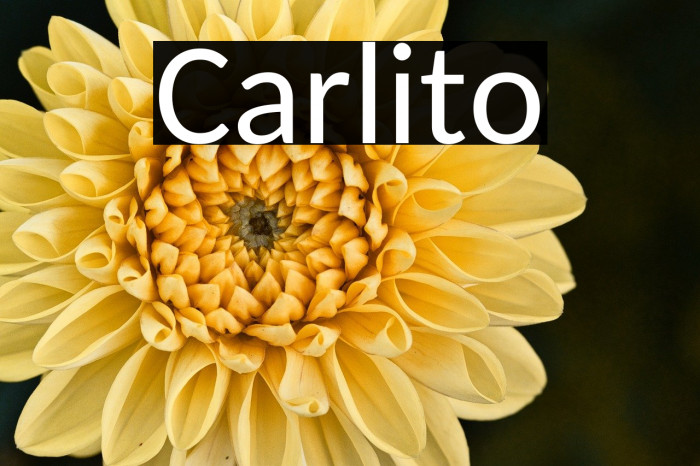 Carlito Example 2