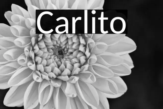 Carlito Font examples