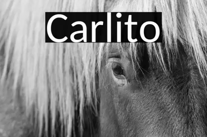 Carlito Font examples