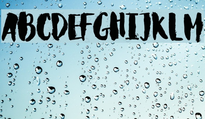 Carlitos Font examples