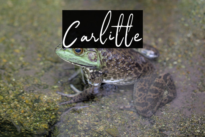 Carlitte Example 1