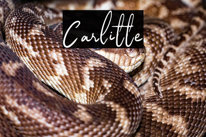 Carlitte Example 2