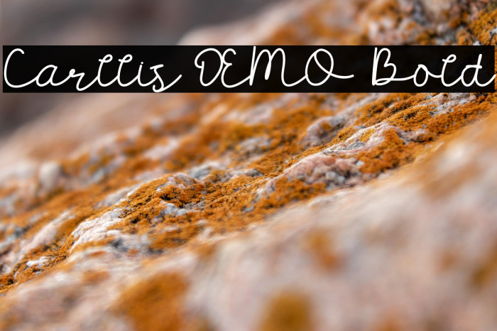 Carllis DEMO Bold Example 1
