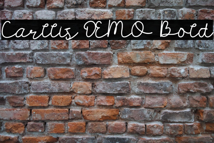 Carllis DEMO Bold Example 2