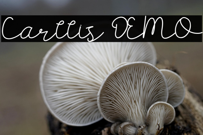 Carllis DEMO Example 2