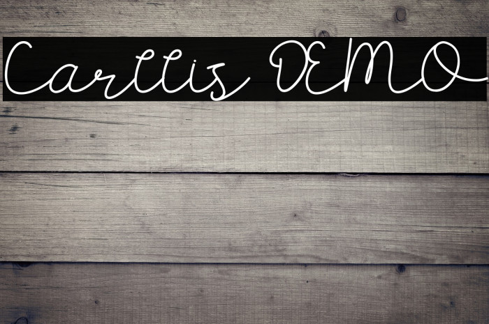 Carllis DEMO Example 3