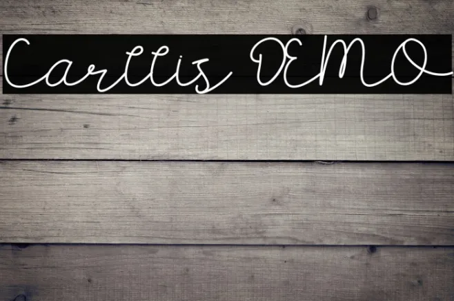 Carllis DEMO Example 3