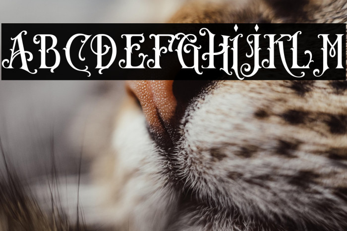 CarllostaDemo Example 1