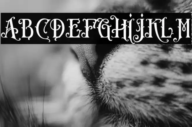 CarllostaDemo Font examples