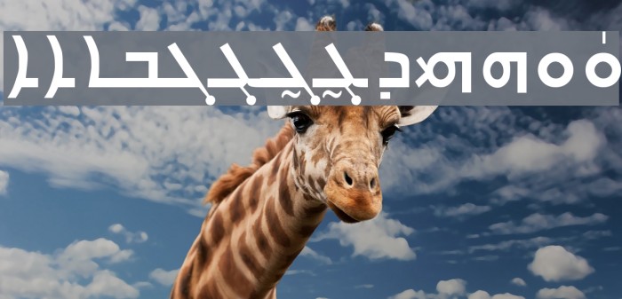 Carlo Ator Bold Example 3