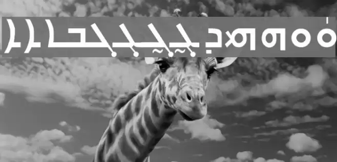 Carlo Ator Bold Font examples