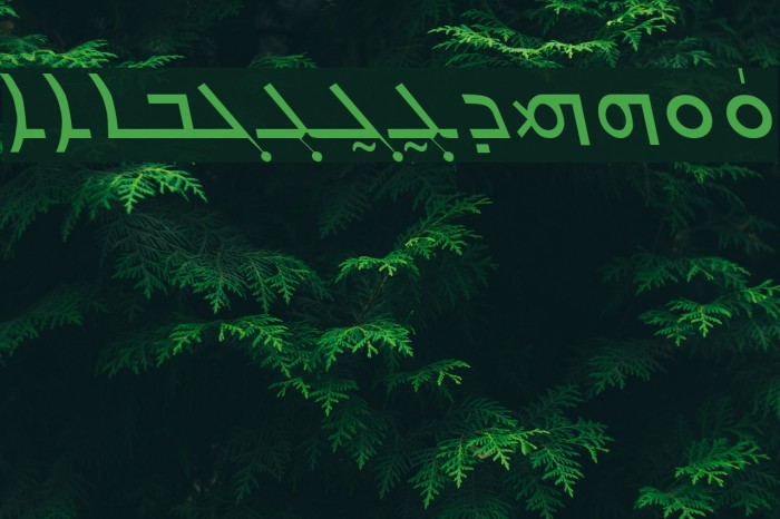 Carlo Ator Italic Font examples