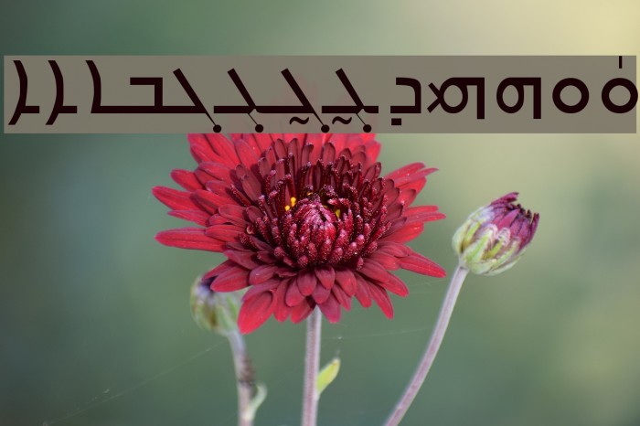 Carlo Ator Example 1