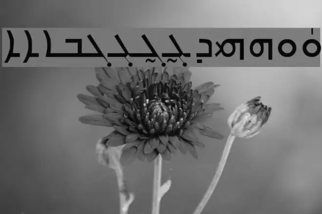 Carlo Ator Font examples