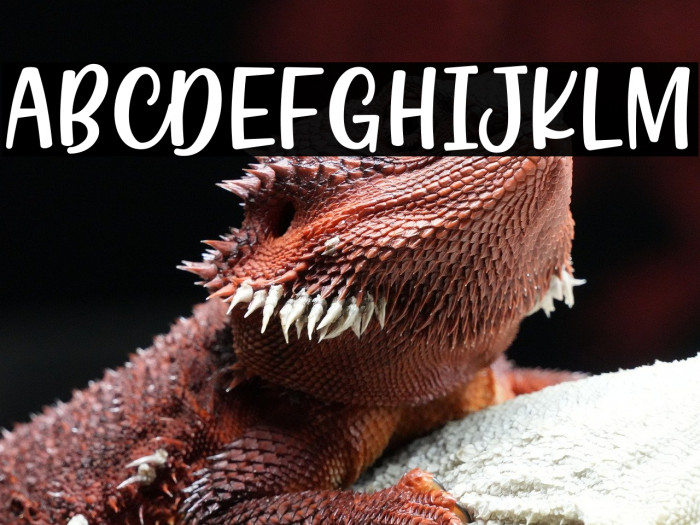 Carlo Melow Example 3