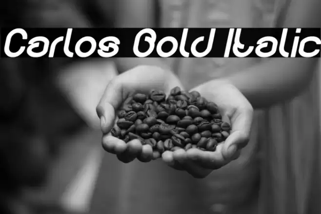 Carlos Bold Italic Font examples