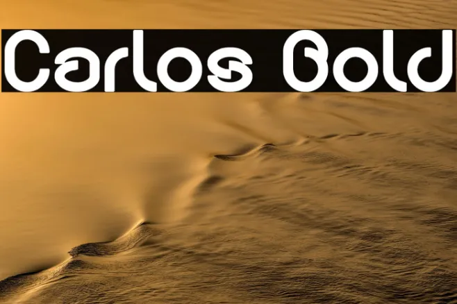 Carlos Bold Example 2