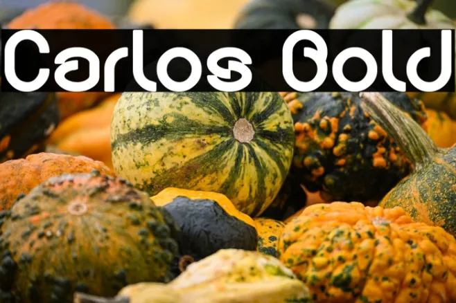 Carlos Bold Example 3