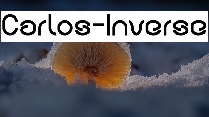 Carlos-Inverse Example 2