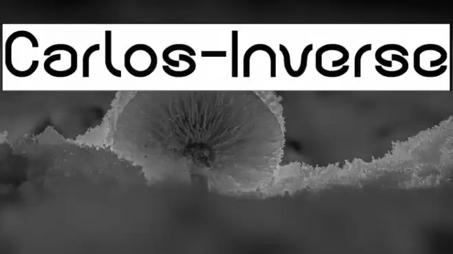 Carlos-Inverse Fonte examples