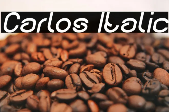 Carlos Italic Example 1