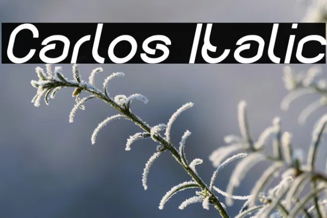 Carlos Italic Example 3