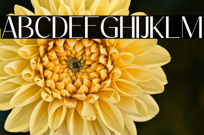 Carloti personal use Example 1