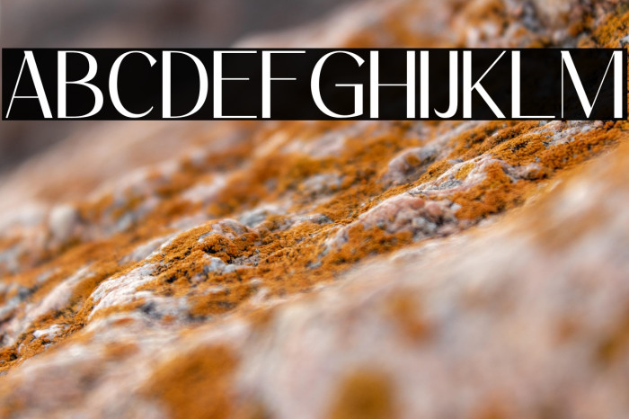 Carloti personal use Example 2