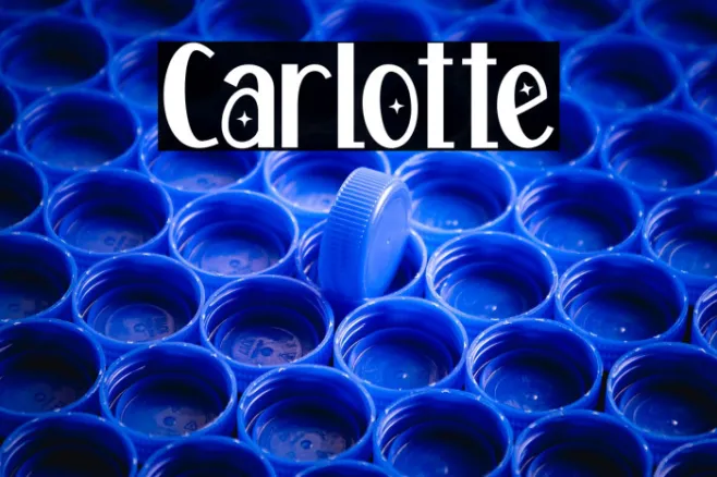 Carlotte Example 3