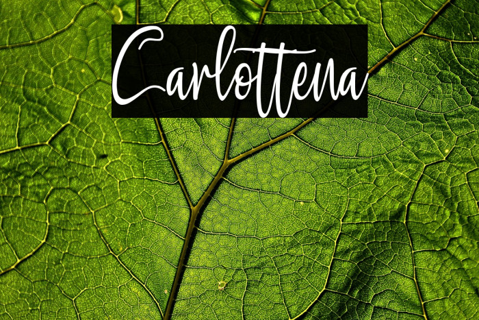 Carlottena Example 2